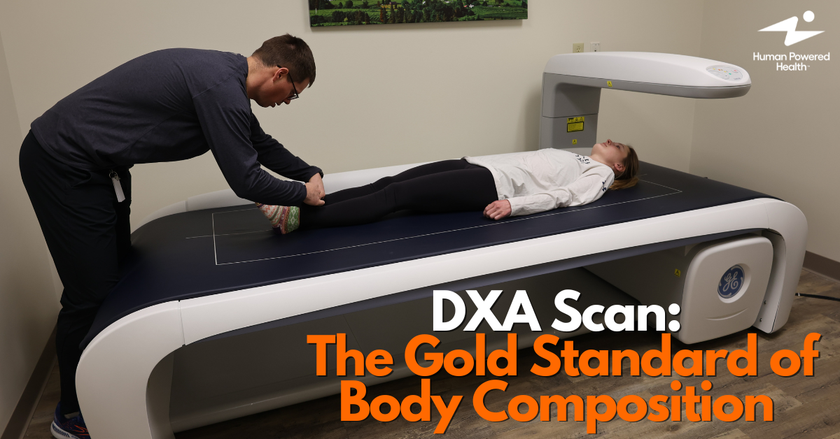 DXA Scan: The Gold Standard of Body Composition